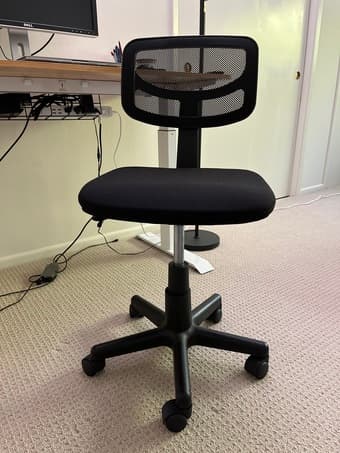 New desk chair 1