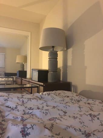 $1500! Private room in a 3B1B apartment is available now 1