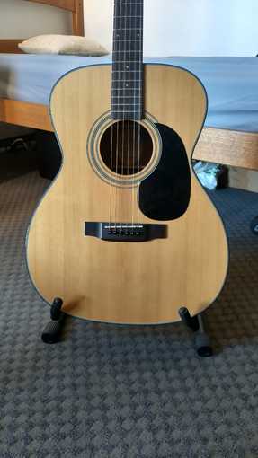 Bristol Acoustic Guitar 2
