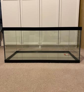 40 gallon Aquarium with Lid 1
