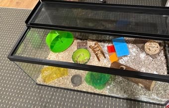 40 gallon Aquarium with Lid 3