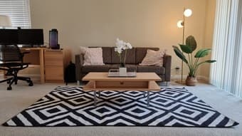 Decorative Rug, Artificial Plants 1