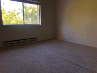 Palo Alto master bedroom available June 4th - 12 min bike to Stanford! 1