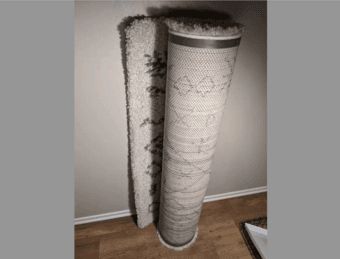 Selling Area Rug 2
