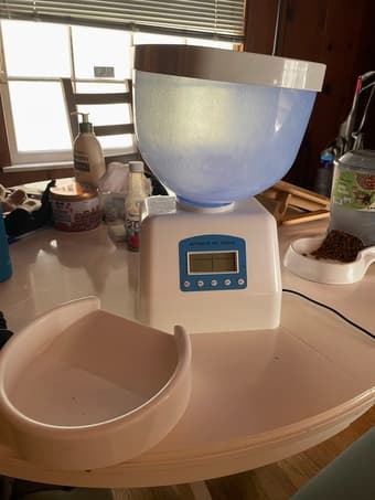 Programmable pet feeder! 1