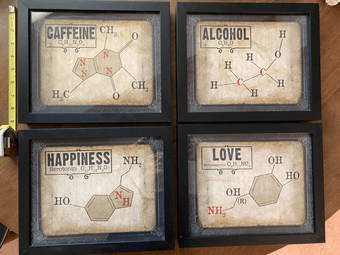 Framed wall art - fun nerdy decor - 4 pieces 1
