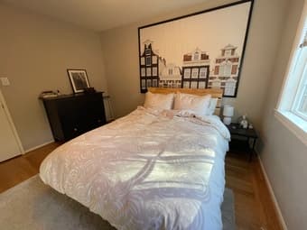 FREE rug 1