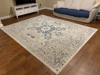 Area Rug for Sale 1