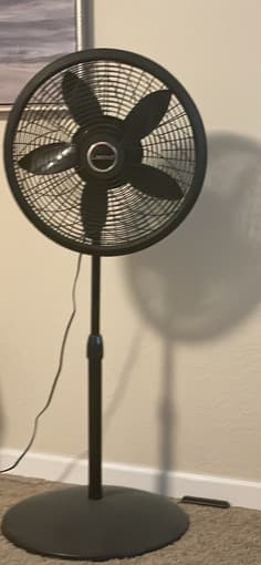 Fan 1