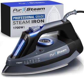 Steam Iron 1
