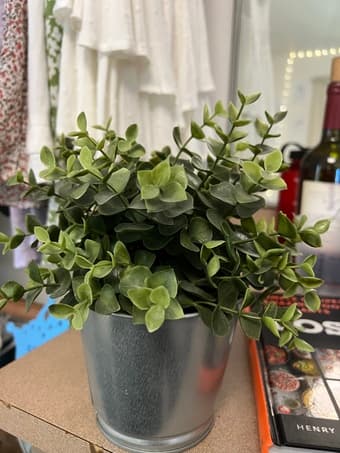 Desk Mirror, Plant, Decor 2