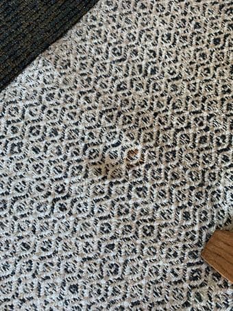 Ikea Rug - RÖRKÄR 3