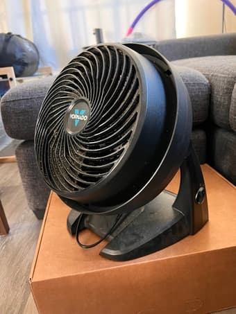 FREE fan 1