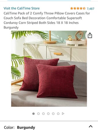 Anthropologie throw pillows 3