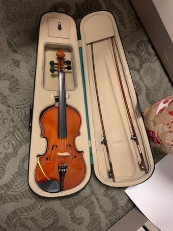Viola 1