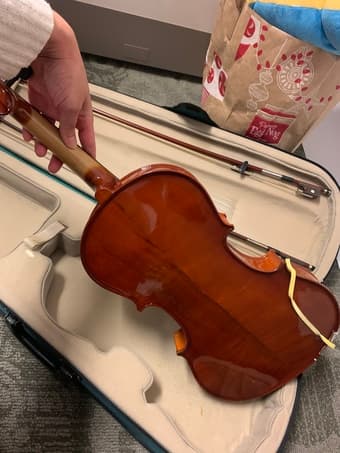 Viola 2