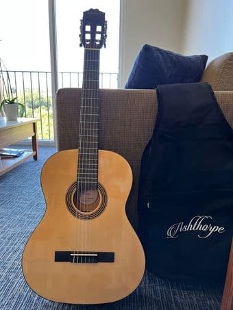 Acoustic guitar 1