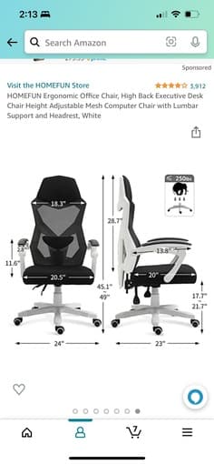Ergonomic Office Chair, High Back, Adjustable Mesh Back with Lumba 2