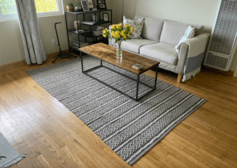 Large patterned rug (retails for $133) 1