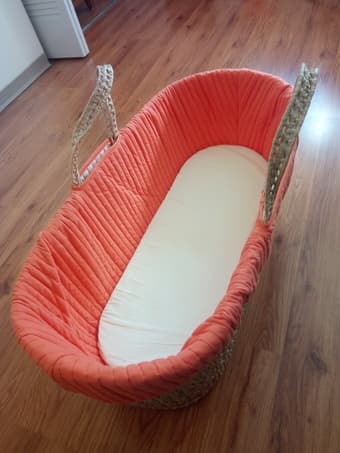 Tadpoles Moses Basket for infants 1