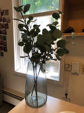 Vase & Eucalyptus flowers 1