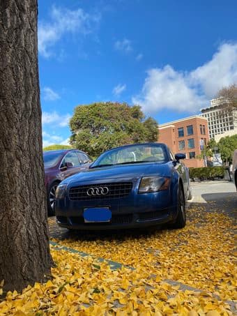 California Dreamer - Blue Diamond - Audi TT - Time to have fun 1
