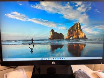 hp 22cwa Monitor 1