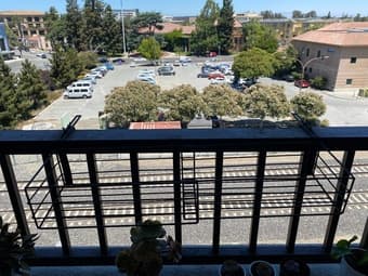Balcony plant holder 1