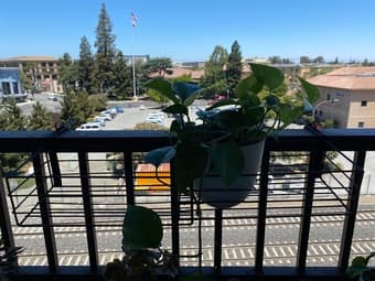 Balcony plant holder 2