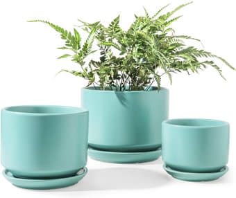 6inch planter with drainage hole - Still in original packaging! 1