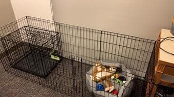 Top Paw Dog 24" Exercise Pen 2