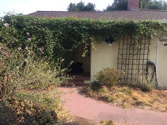 Sunny furnished room available in Covid-savvy Menlo Park home, $1600/m 3