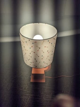 Pillowfort Christian Robinson Kid’s Night Lamp 2