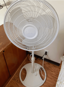 Fan Fun fan 1
