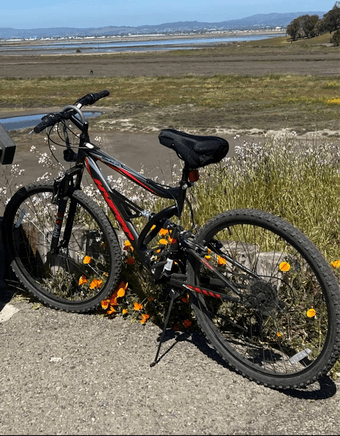 Bicycles for sale！！！ 1