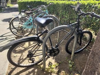 Roadmaster Bike 1