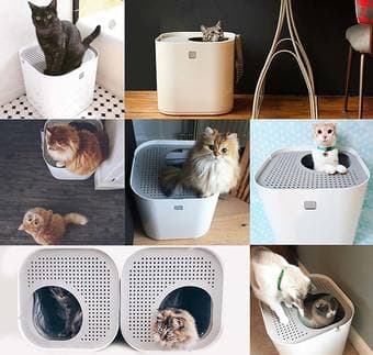 Brand new litter box & liners 1
