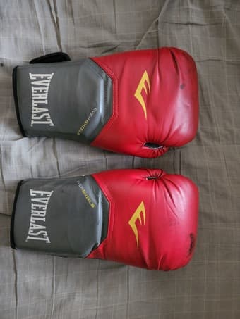 Everlast Boxing Gloves 1