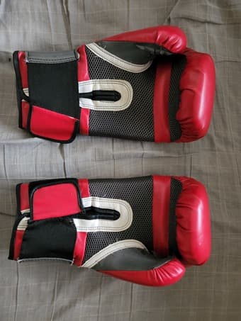 Everlast Boxing Gloves 2