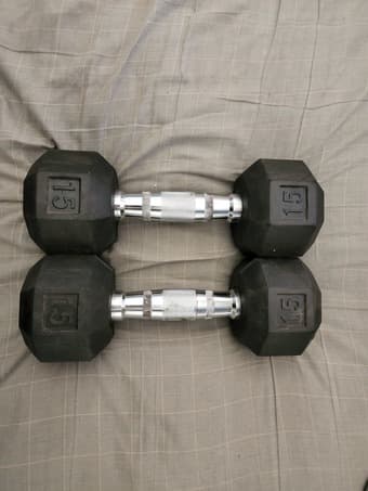 15lb Dumbbells 1