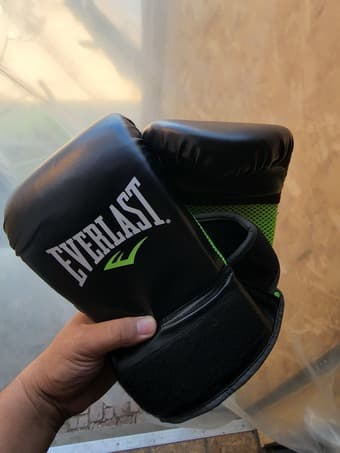 Everlast Boxing Gloves 1