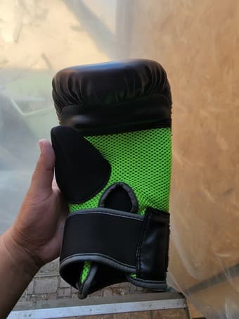 Everlast Boxing Gloves 3