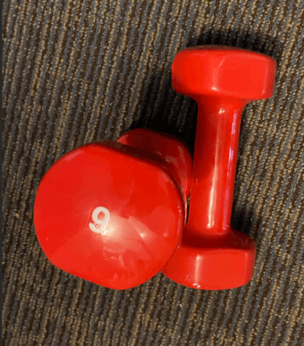 6 pound dumbells 1