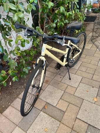 Ladies bike for sale 2