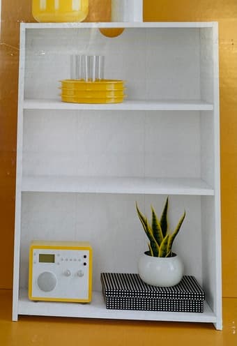 New Bookcase 1
