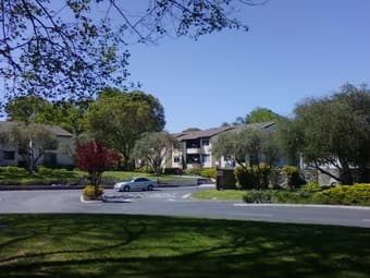 Quiet, Sunny End Unit Furnished 1B/1Bath 777 San Antonio all inclusive 2