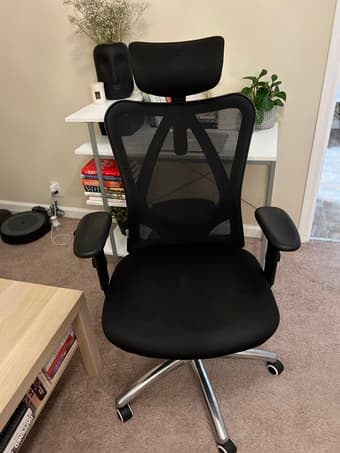 Ergonomic Mesh X office chair 1