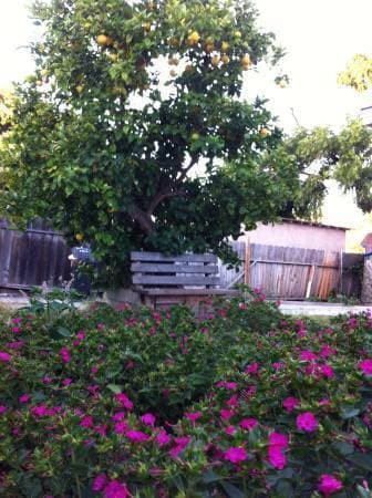 $880 private furnished room in 2BR/1BA of Menlo Park rent NOW. 1