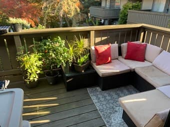 [HOUSING] Sublet- Large One Bedroom in Mountain View 3