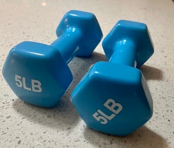 Dumbbell Pair 1